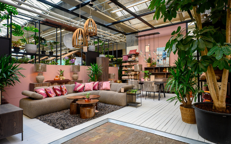 Weihnachtsbaum raus, Zimmerpflanze rein