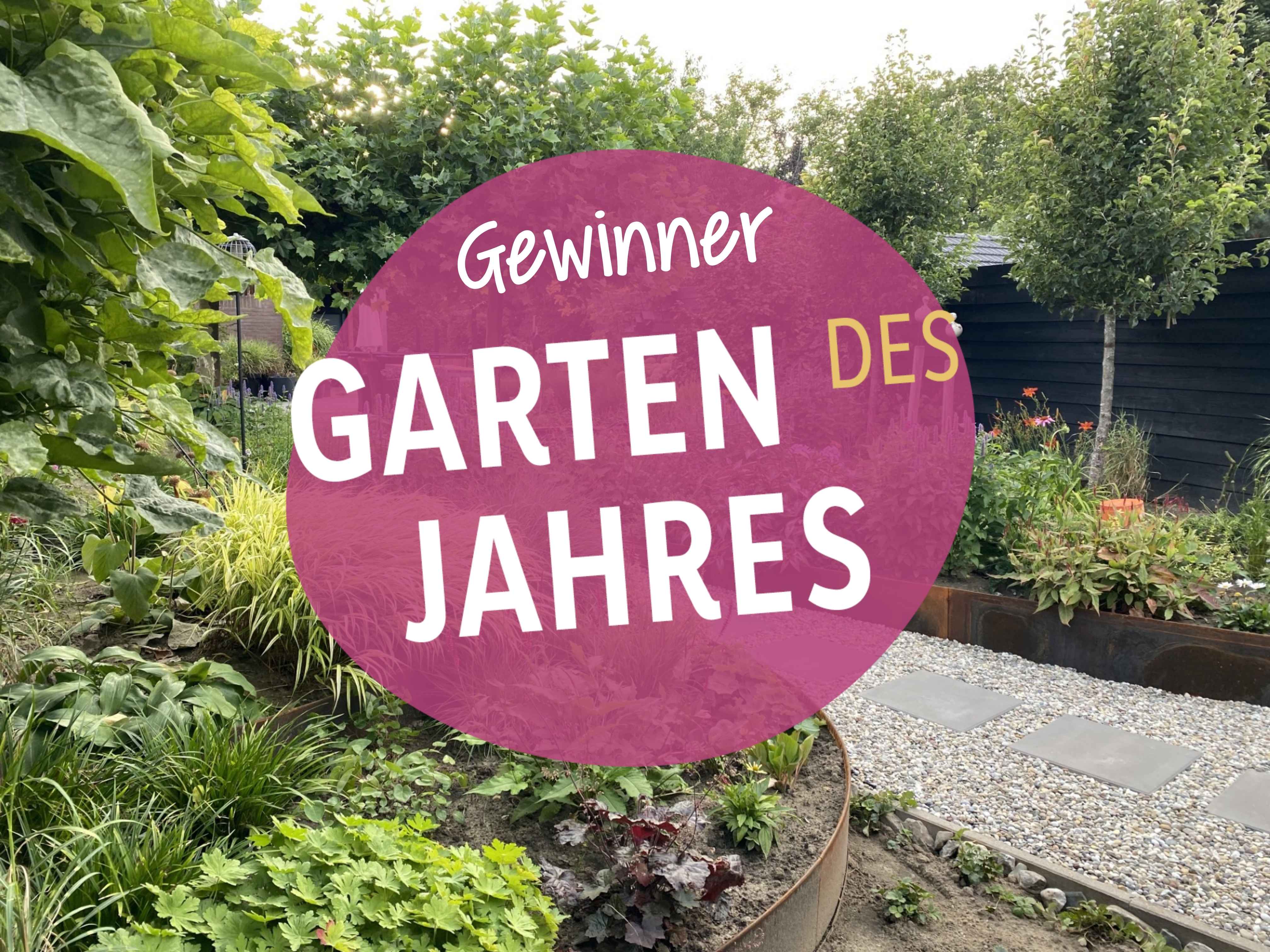 Garten des Jahres: Die Gartentipps des Gewinners