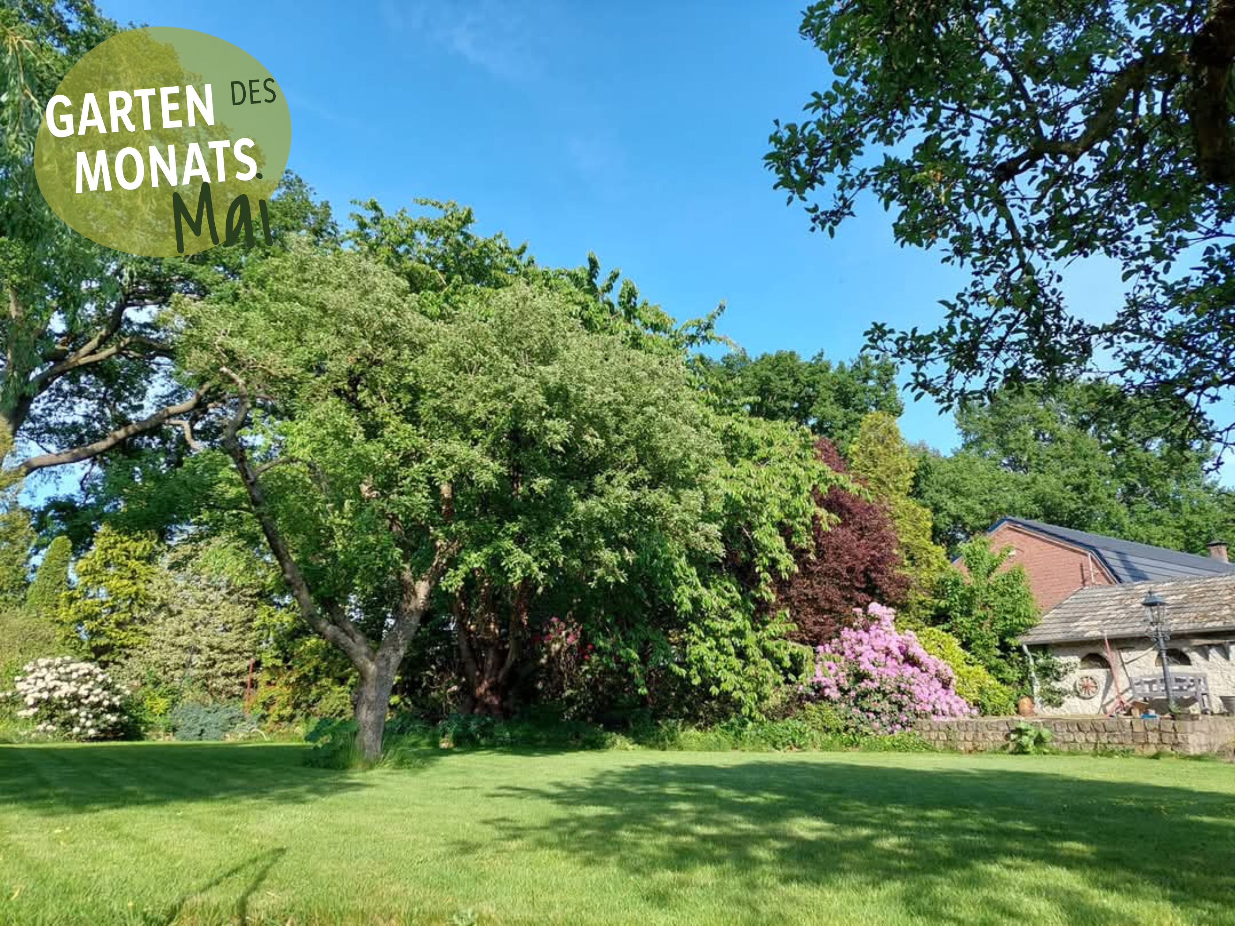 Garten des Monats Mai