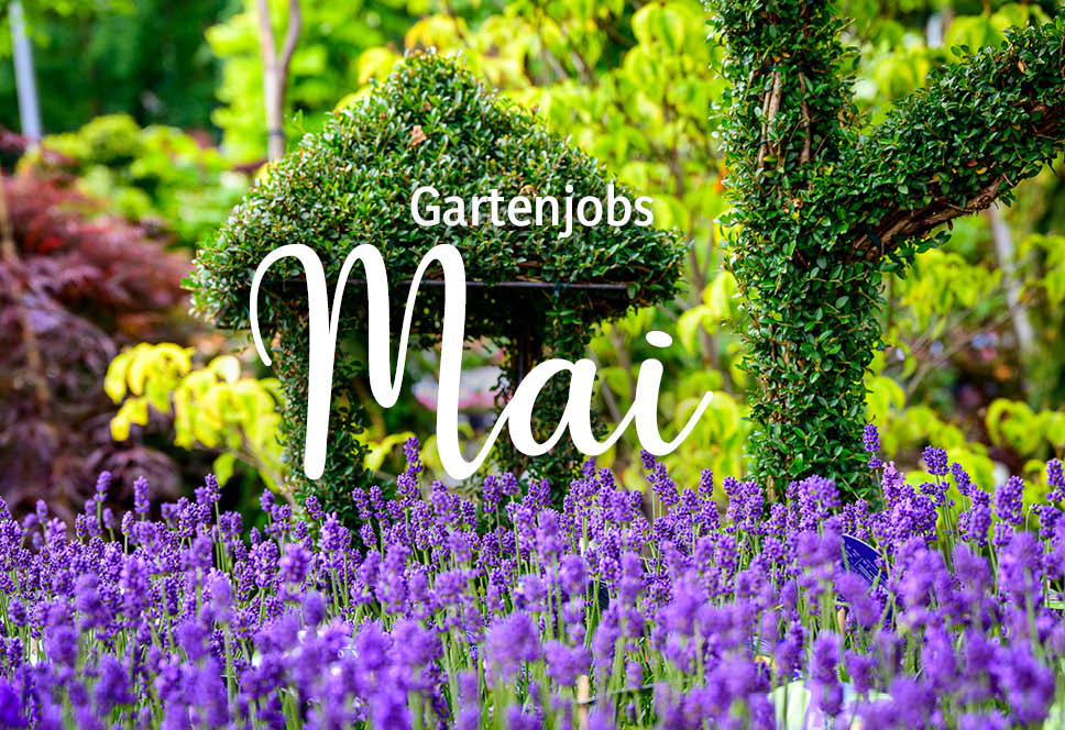 Gartenjobs im Mai