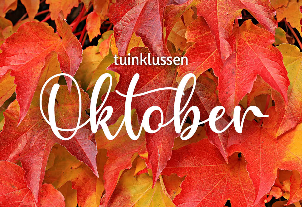 Gartenjobs | oktober 