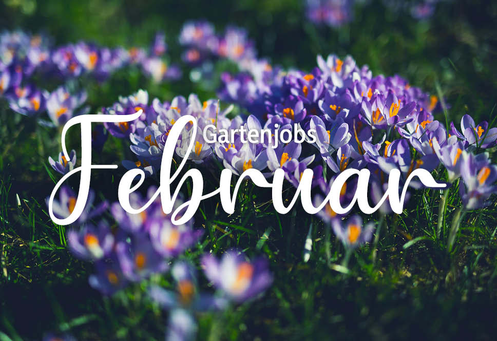 Gartenjobs |Februar