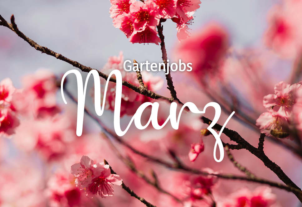 Gartenjobs im März 