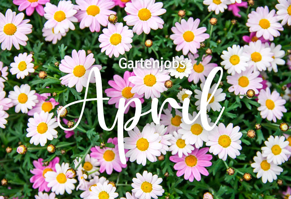 Gartenjobs im April