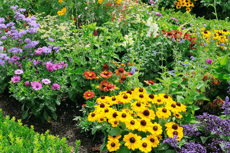 9 Tipps für einen lebendigen Garten: So machst du deinen Garten biodiverser